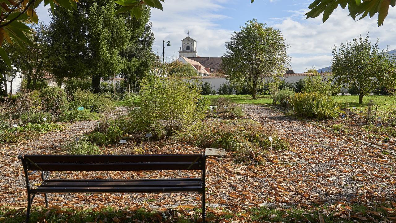 Klosterhotel Kreuz Mariastein Εξωτερικό φωτογραφία